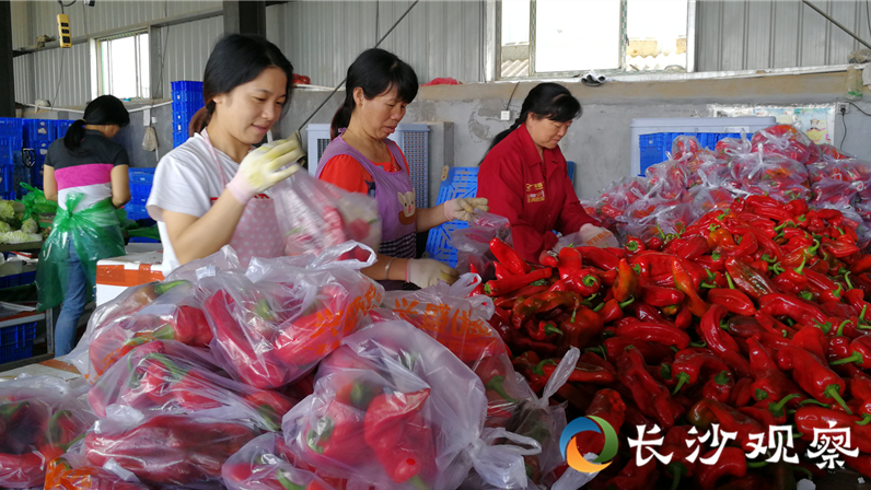 1591060089105716.png 1591060089105716.png