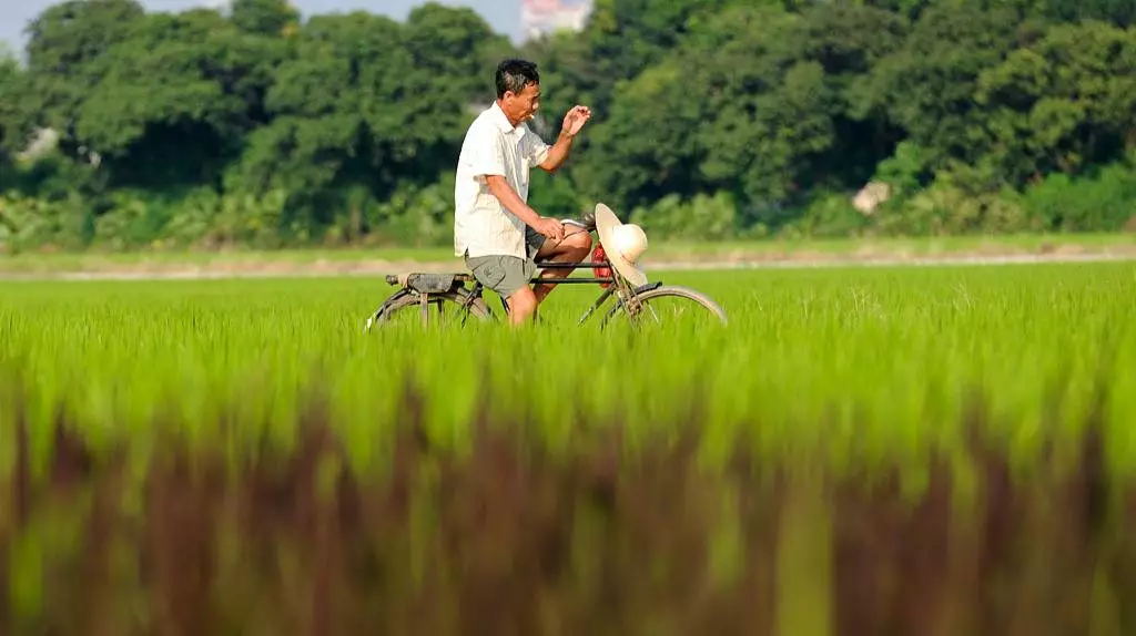 1591065924667101.jpg 1591065924667101.jpg