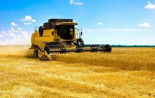 1591146538511859.png 1591146538511859.png