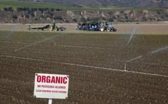 1592362581821447.jpg 1592362581821447.jpg